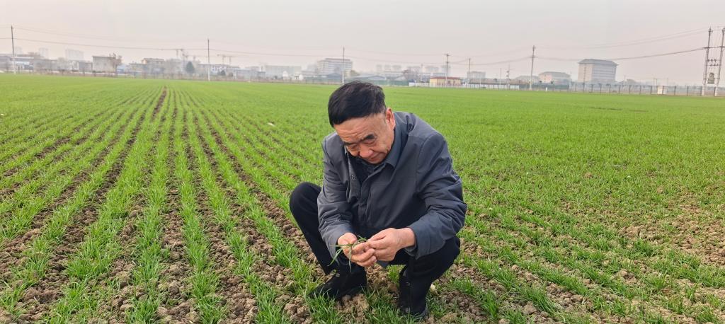 新葡京在线官网