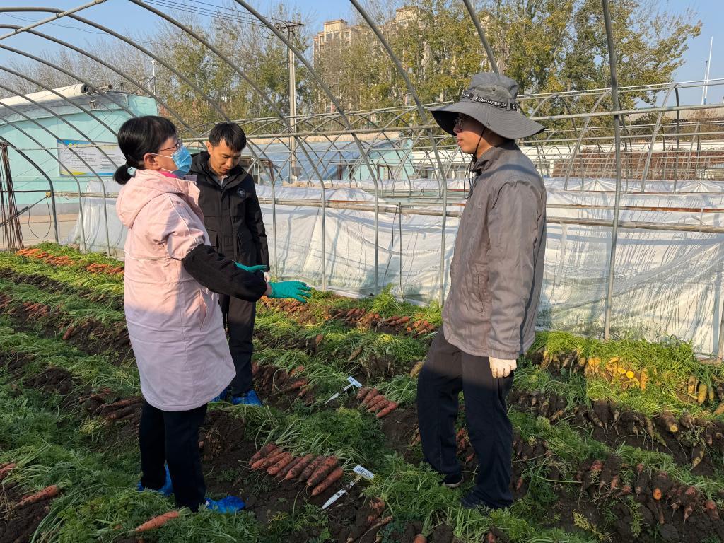 新葡京在线官网