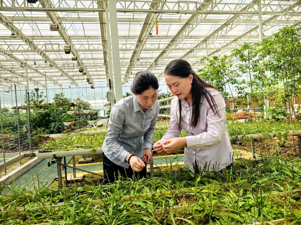 新葡京在线官网