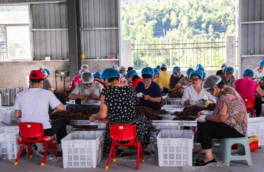 新葡京在线官网