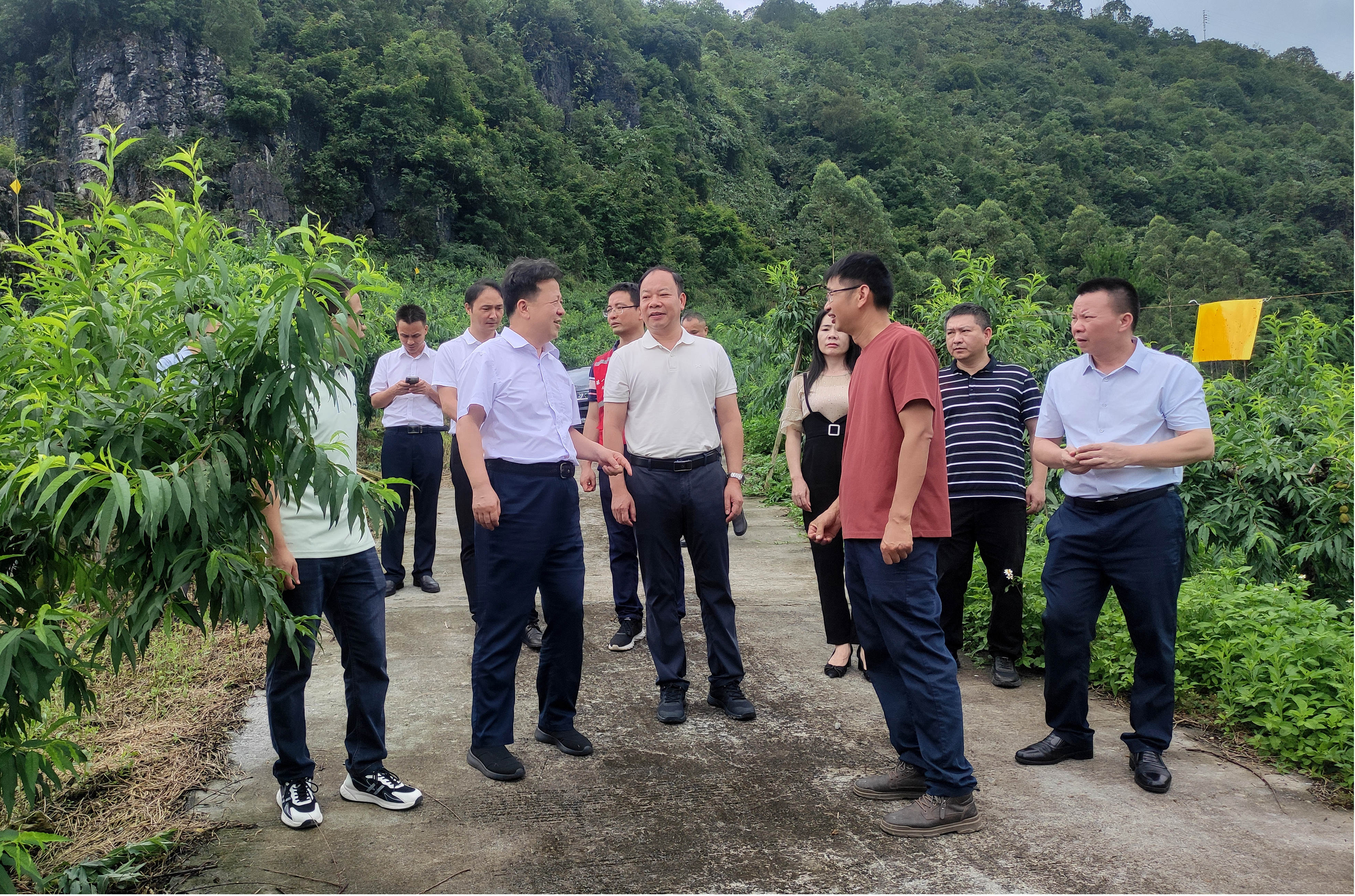 新葡京在线官网