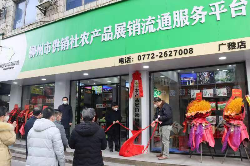 新葡京在线官网