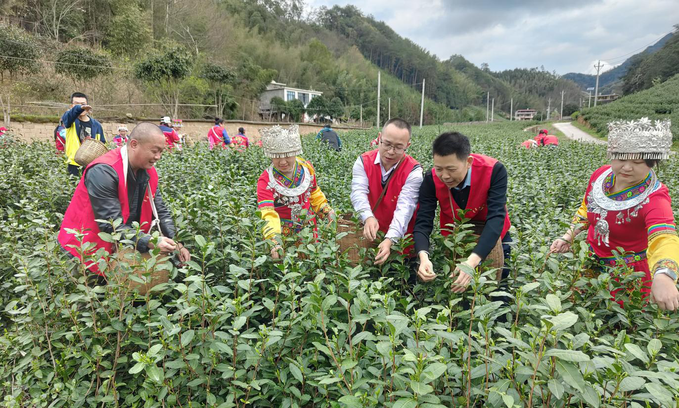 新葡京在线官网