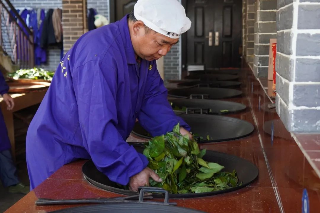 新葡京在线官网