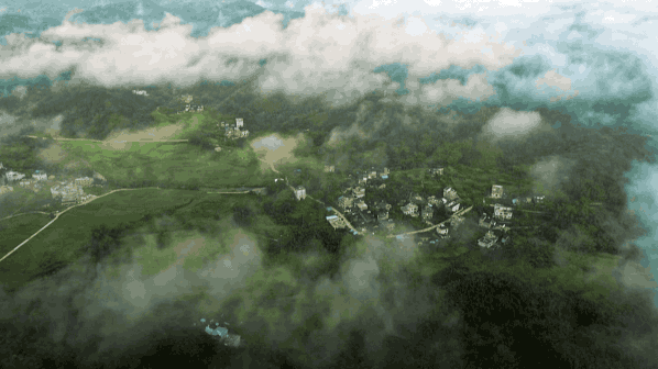 新葡京在线官网