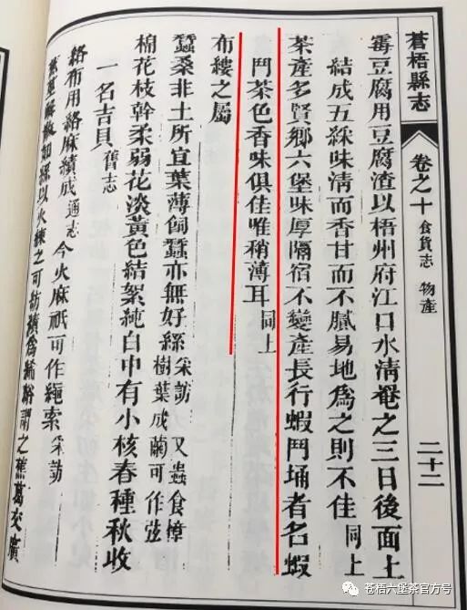 新葡京在线官网