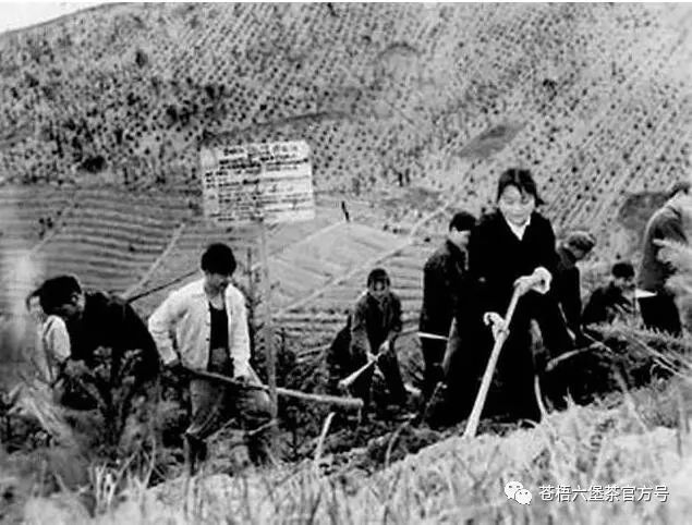 新葡京在线官网