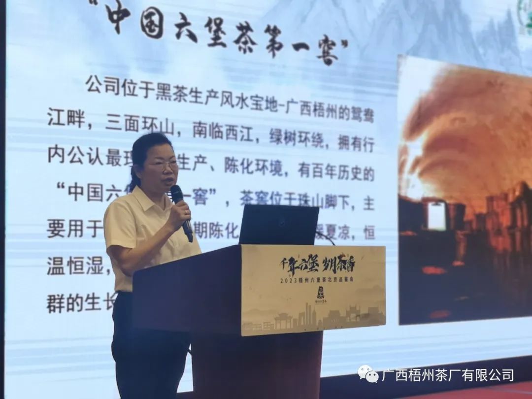 新葡京在线官网