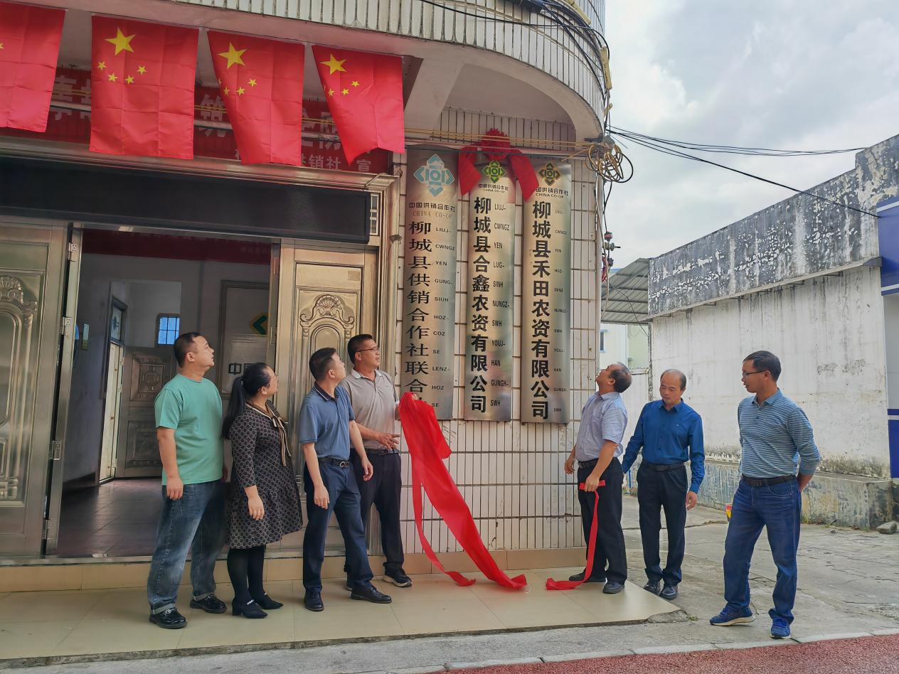 新葡京在线官网