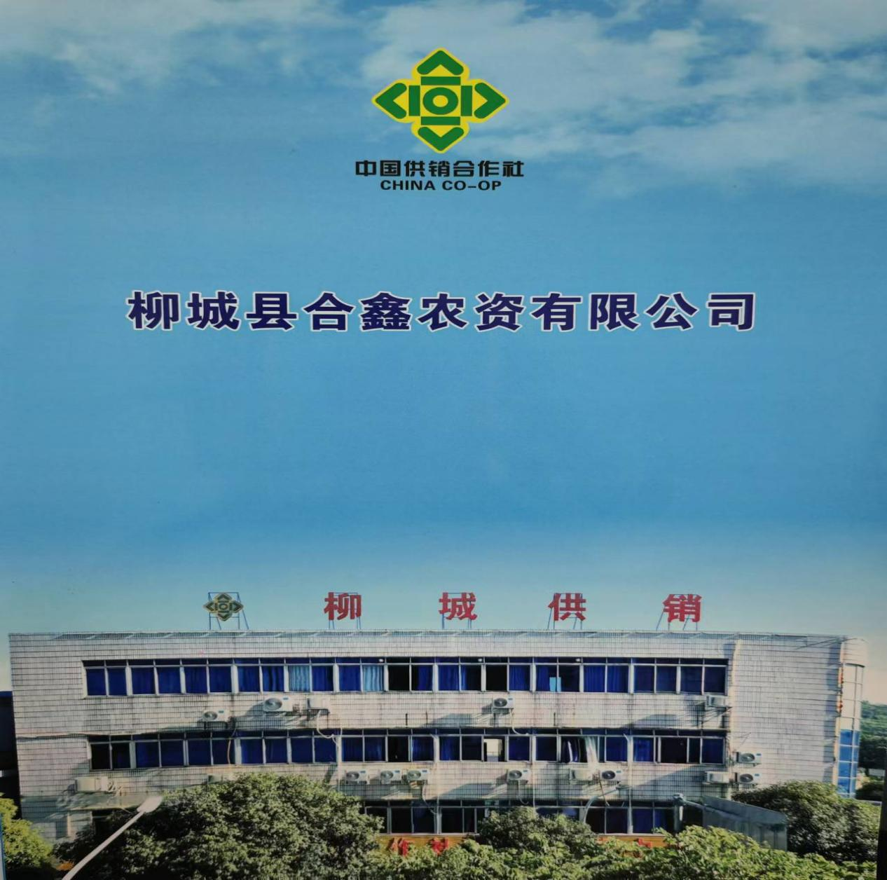新葡京在线官网