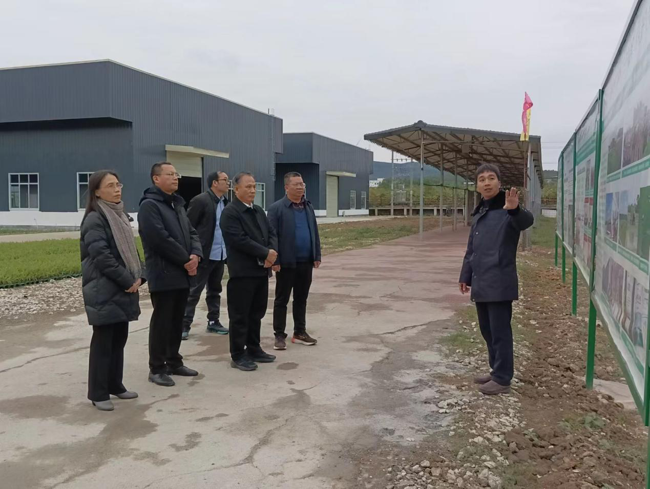 新葡京在线官网