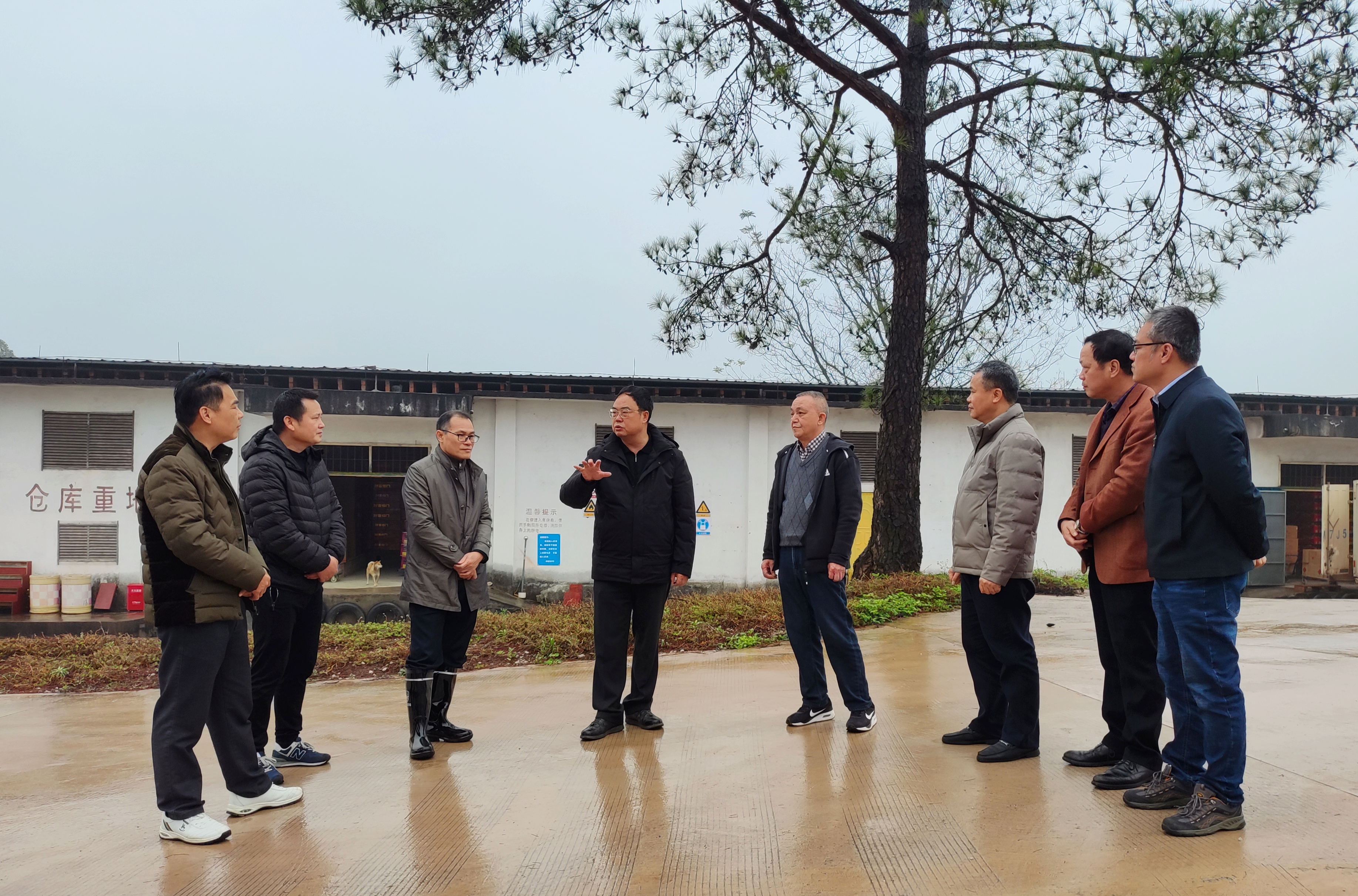新葡京在线官网