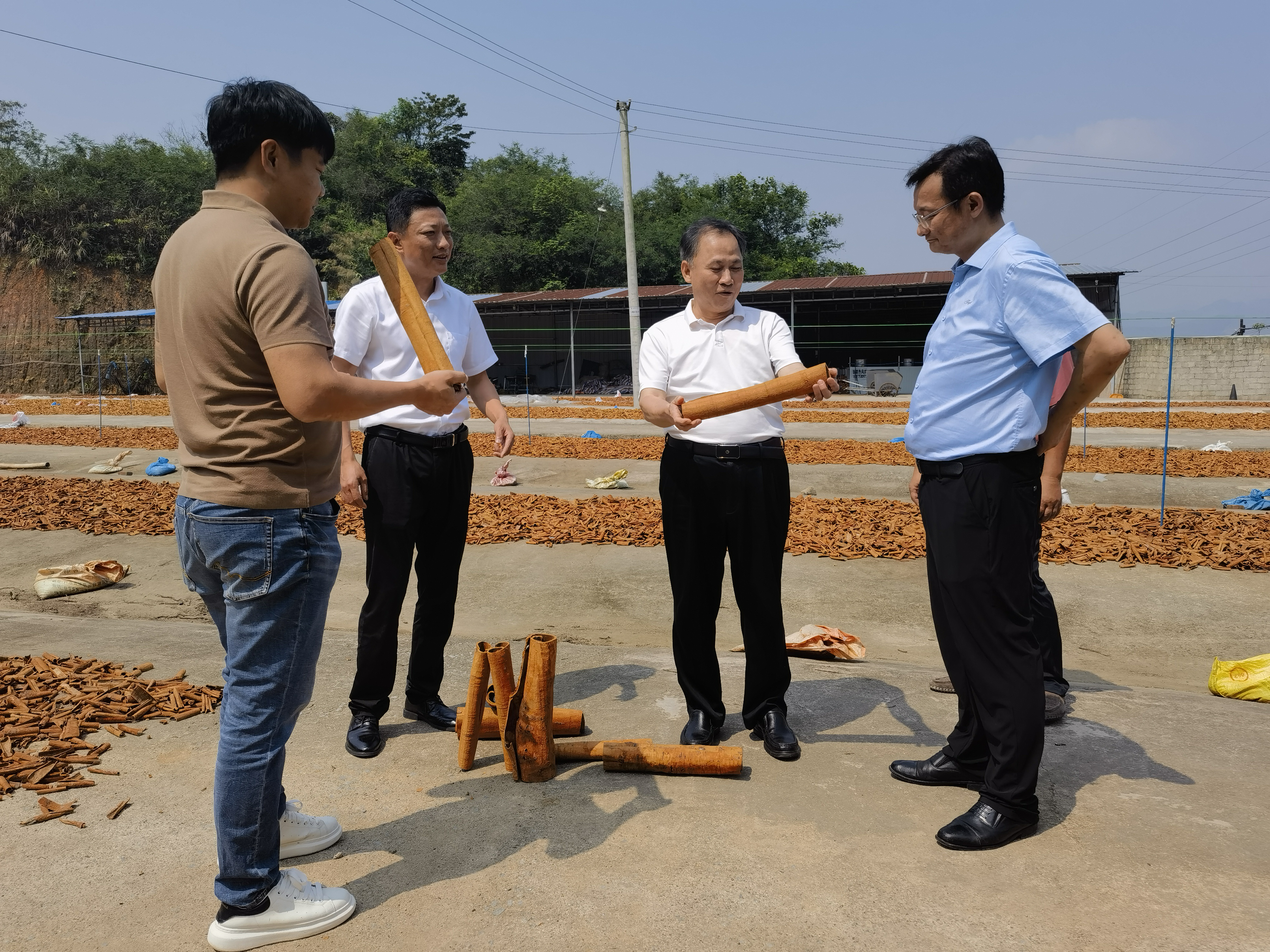新葡京在线官网