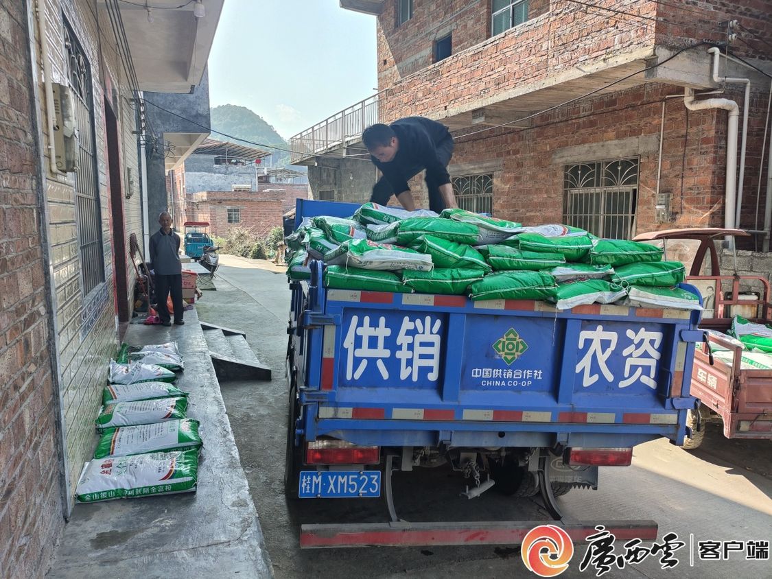 新葡京在线官网