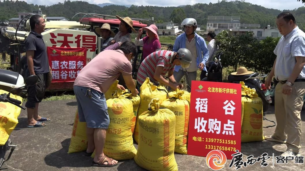 新葡京在线官网