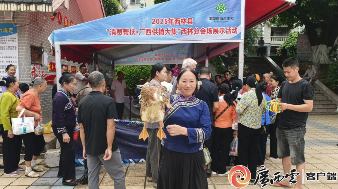 新葡京在线官网