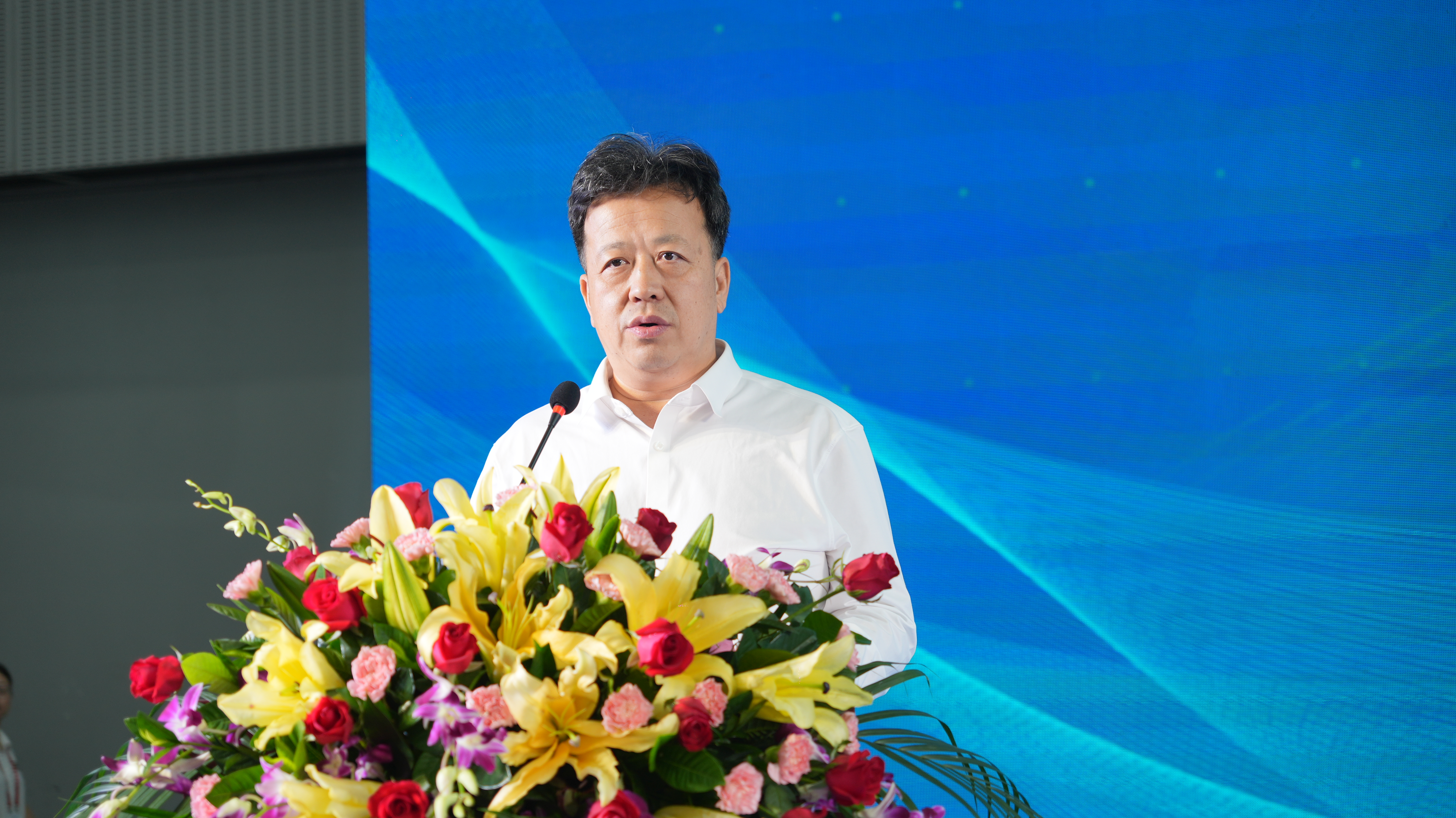 新葡京在线官网