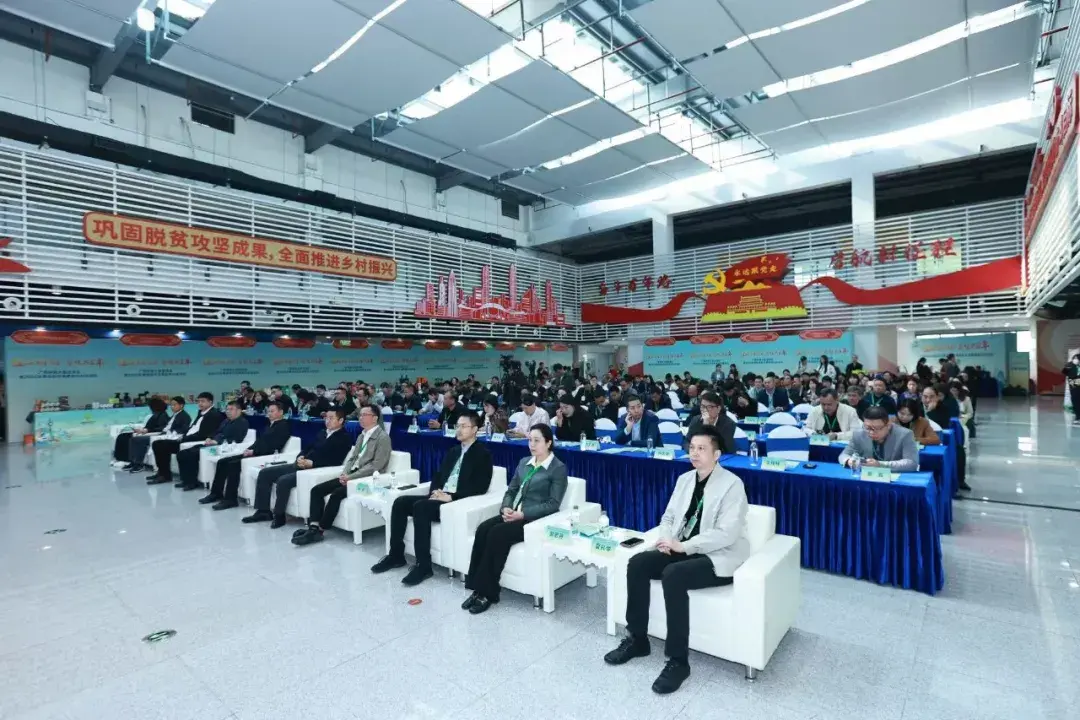 新葡京在线官网