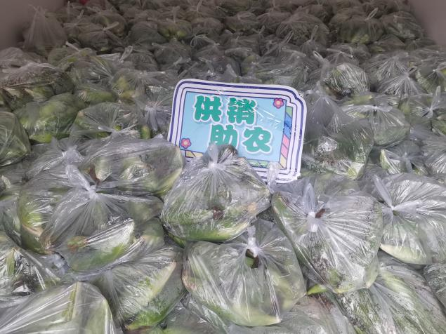 新葡京在线官网