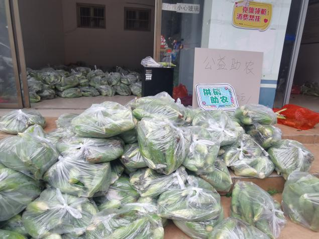 新葡京在线官网