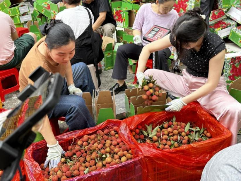 新葡京在线官网
