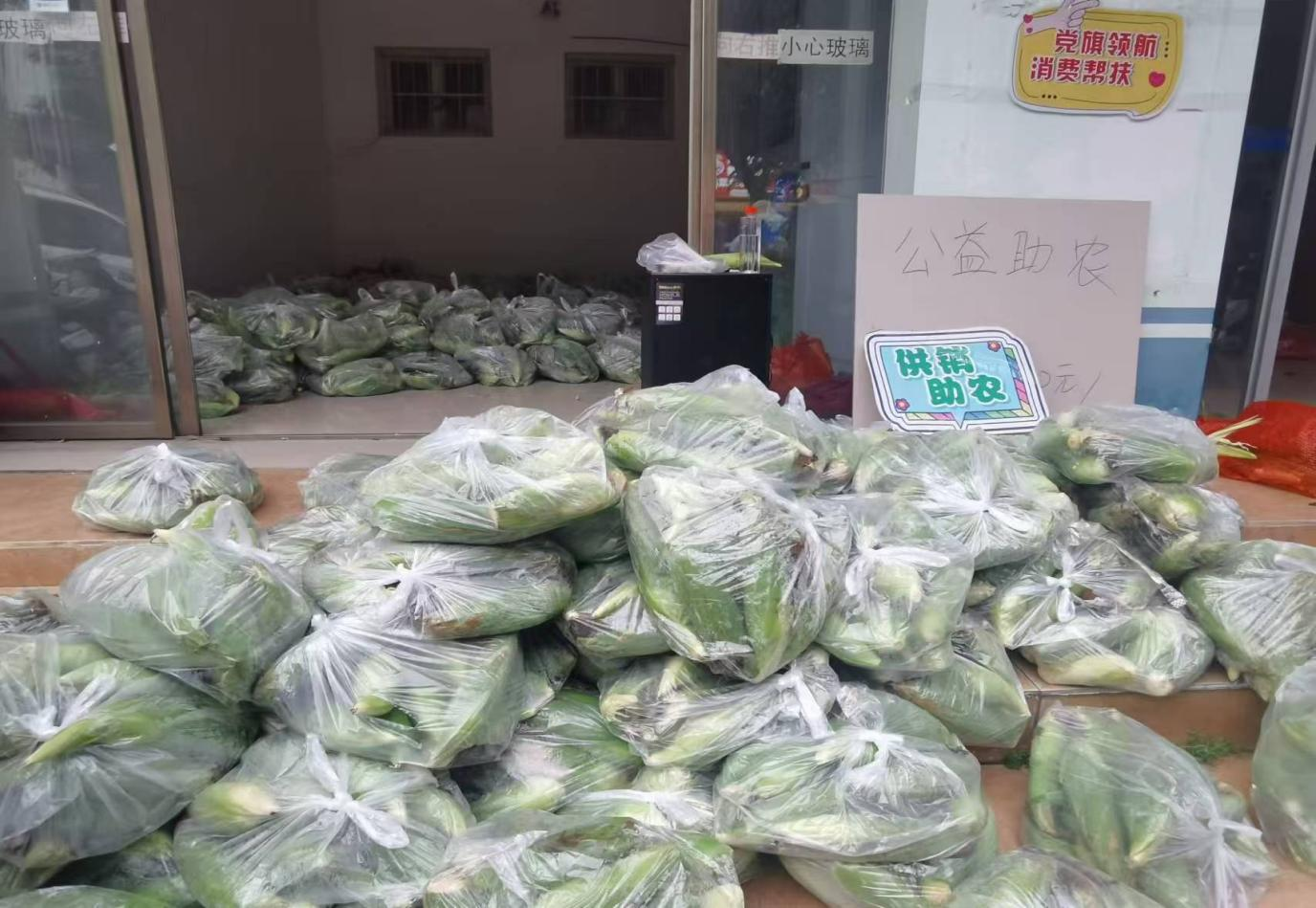 新葡京在线官网
