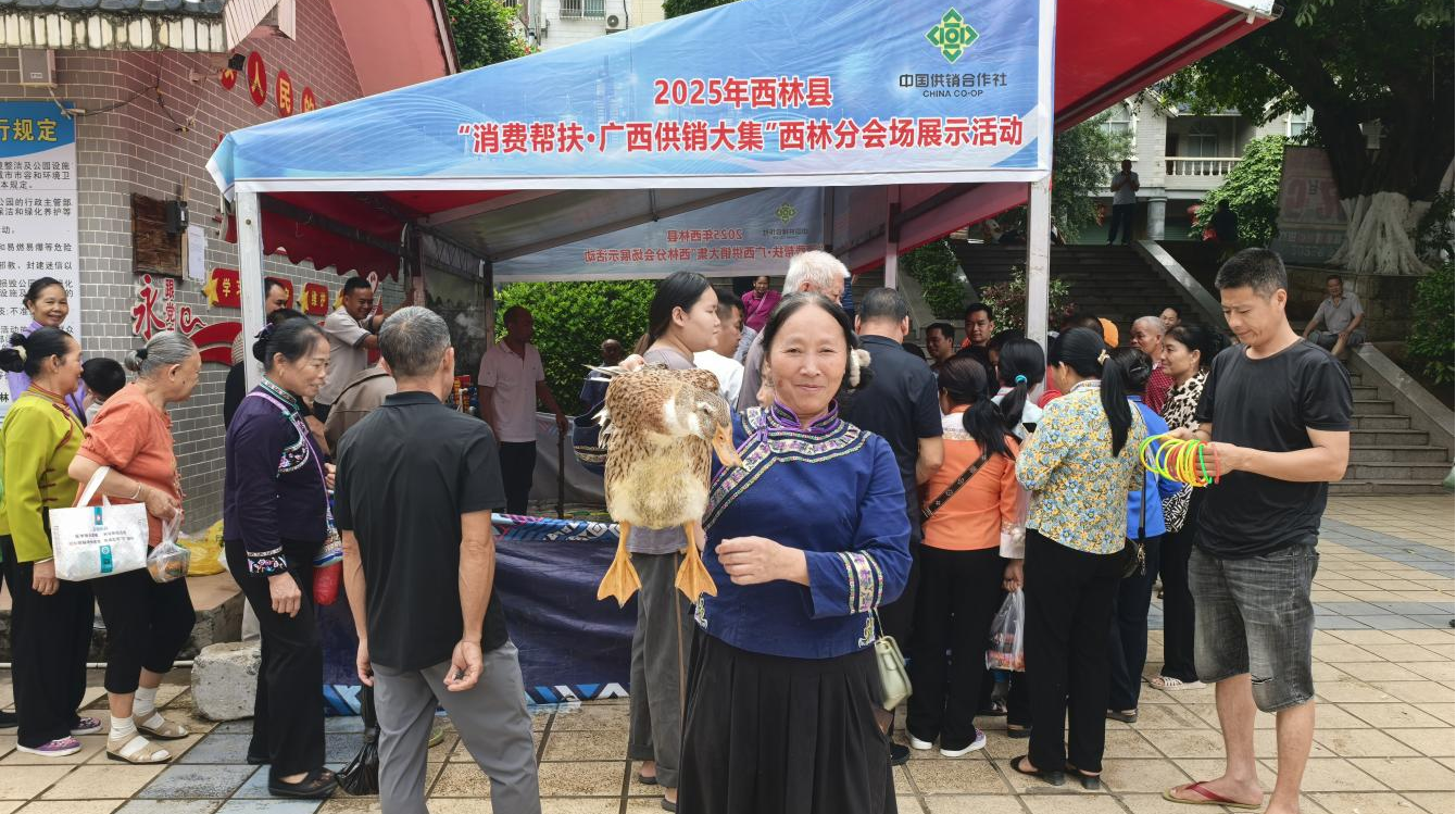 新葡京在线官网