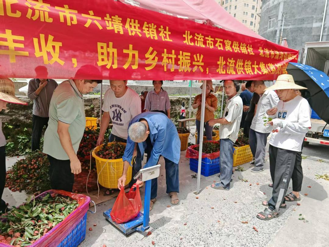 新葡京在线官网
