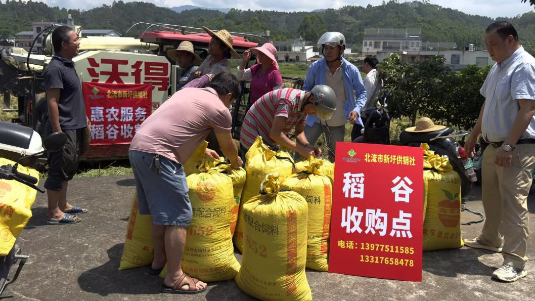 新葡京在线官网