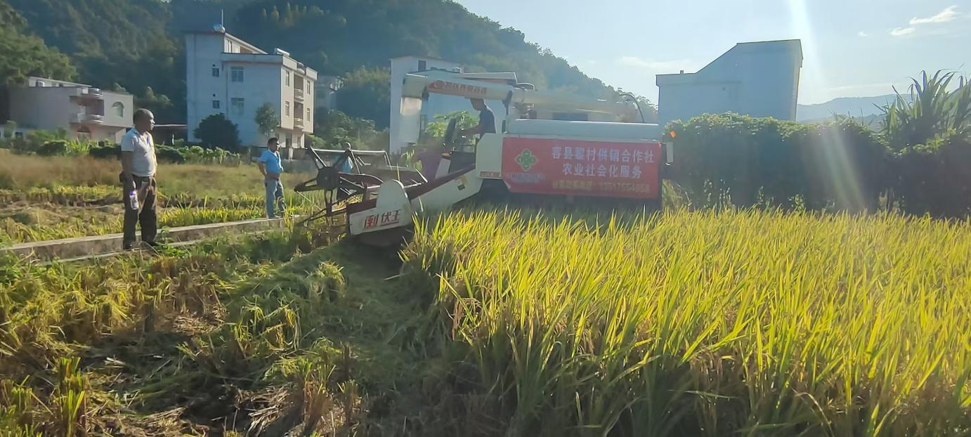 新葡京在线官网