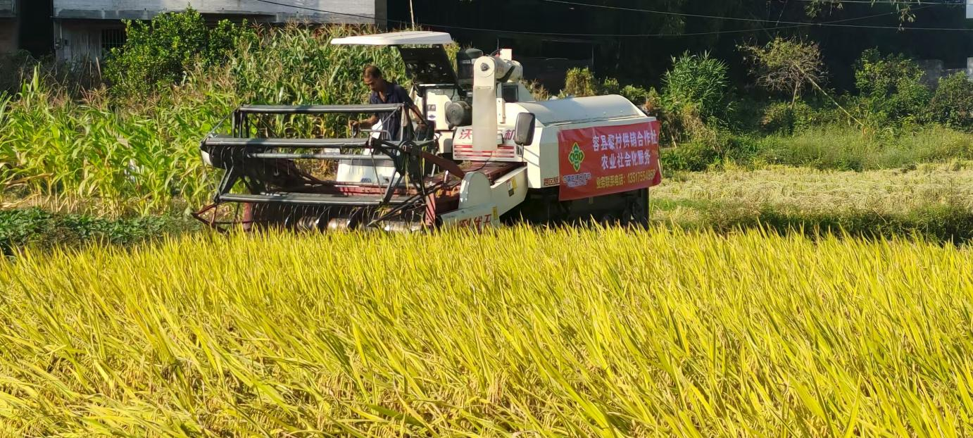 新葡京在线官网