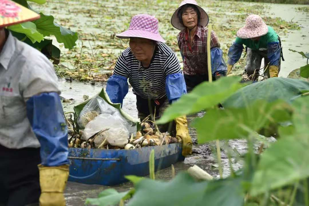 新葡京在线官网