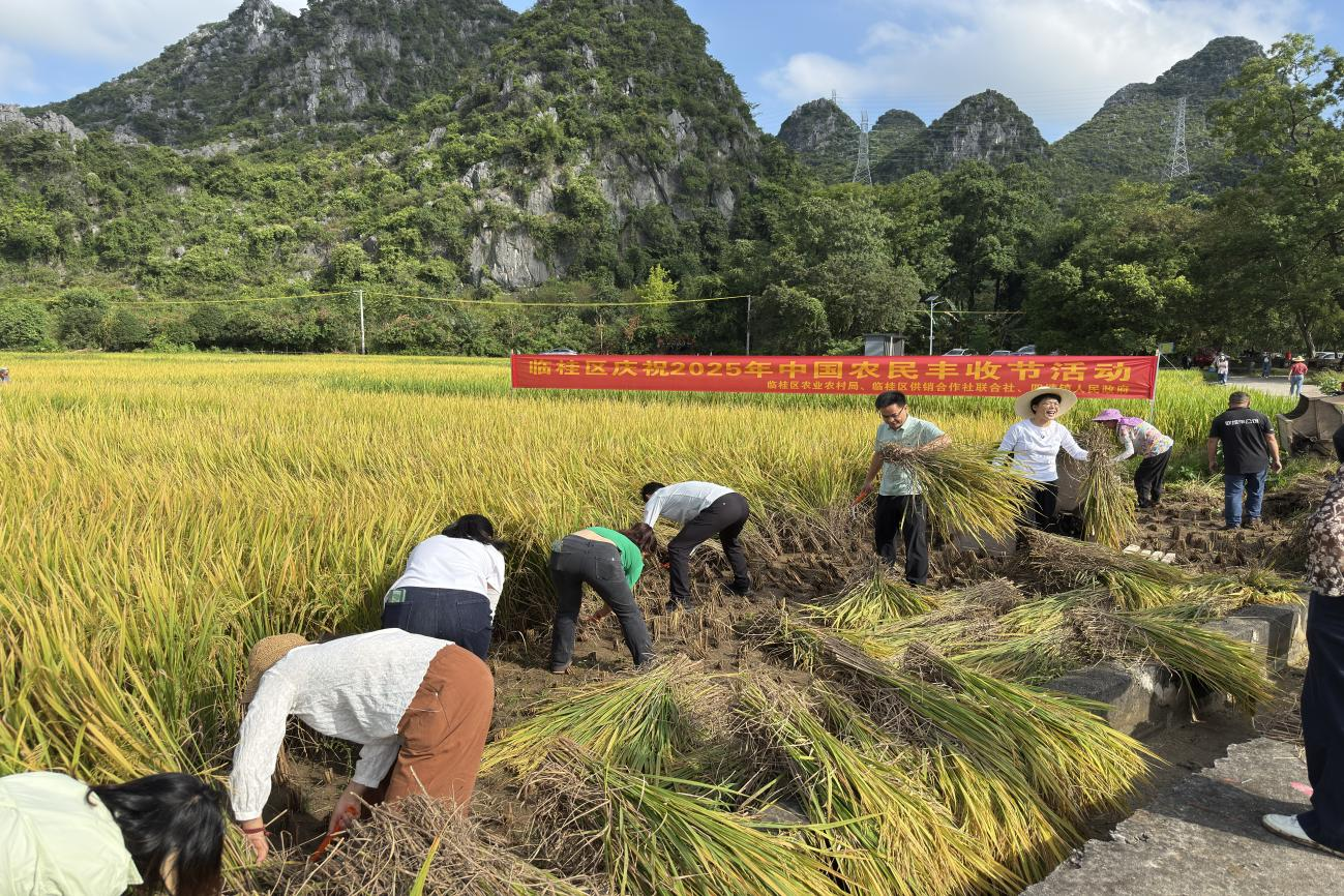 新葡京在线官网