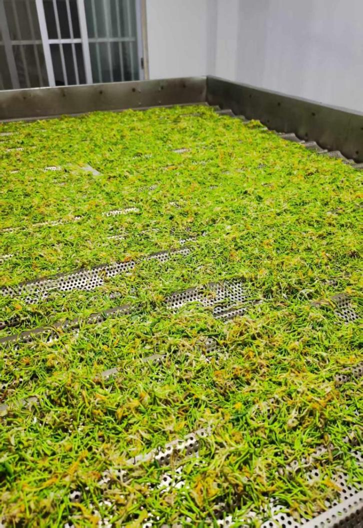 新葡京在线官网