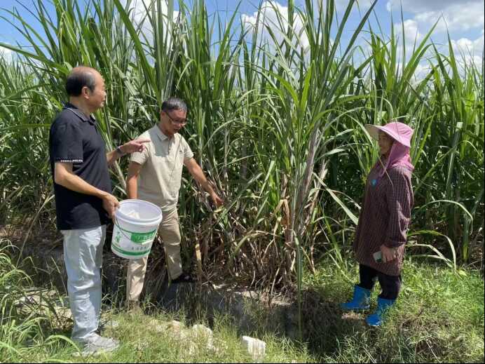新葡京在线官网