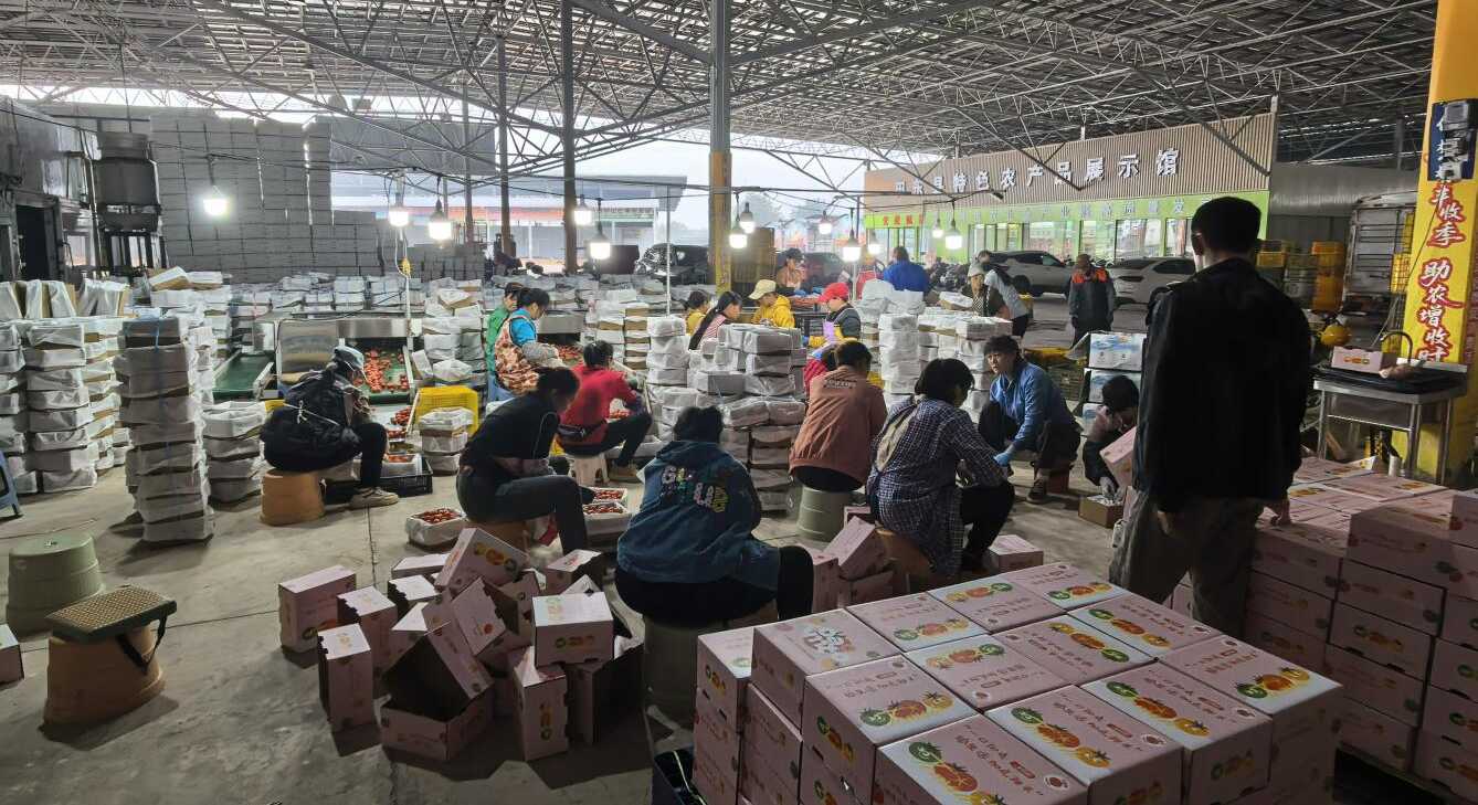 新葡京在线官网