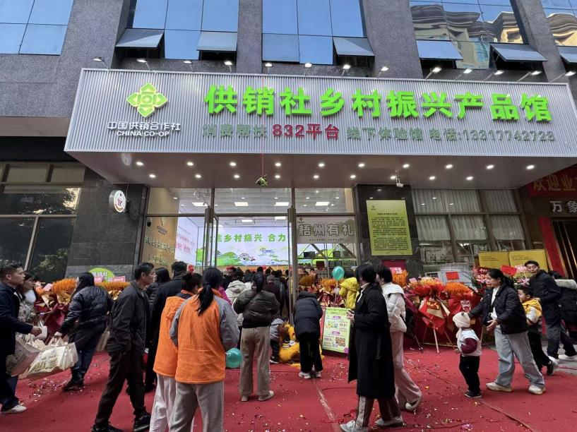 新葡京在线官网