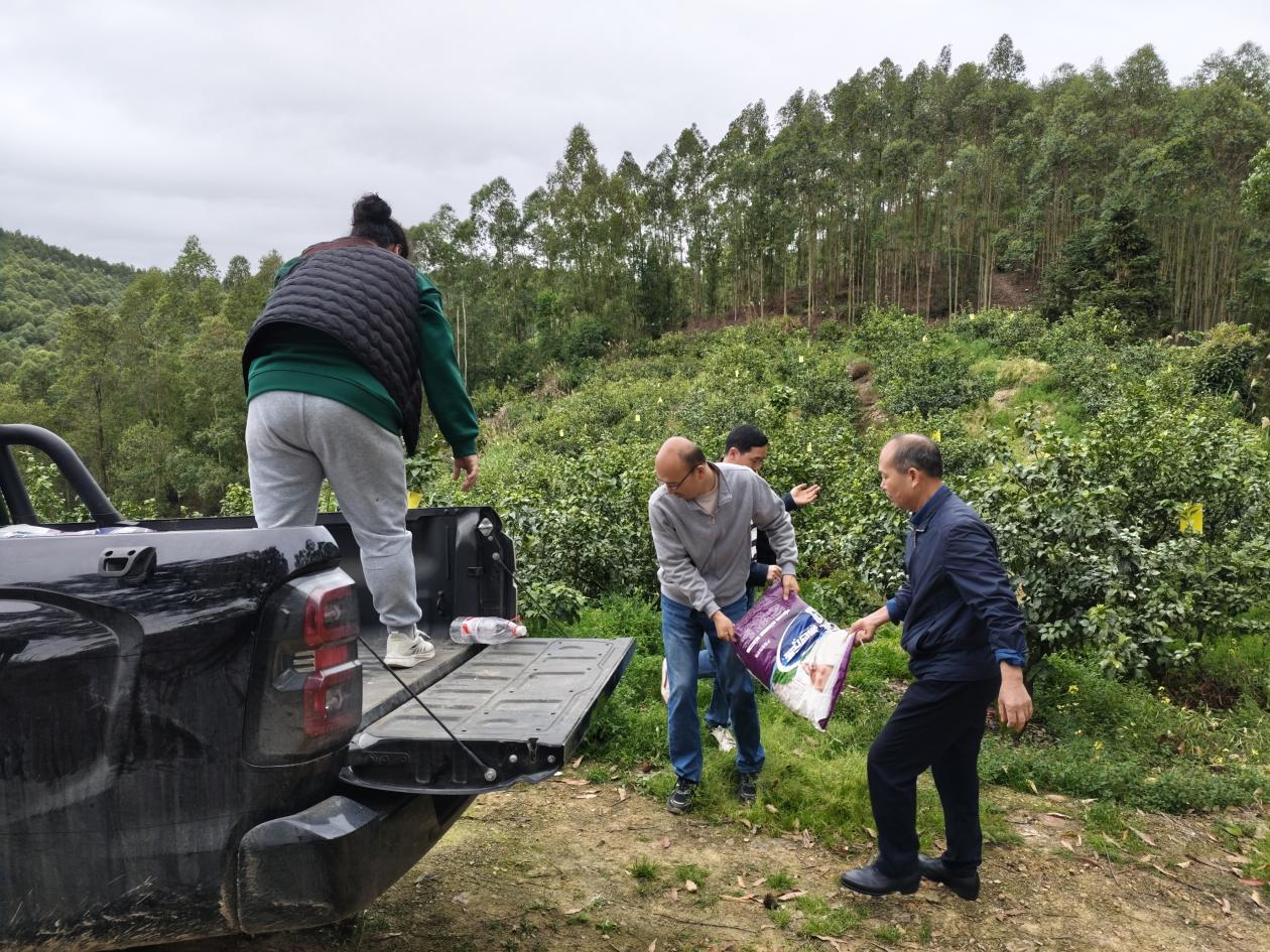 新葡京在线官网