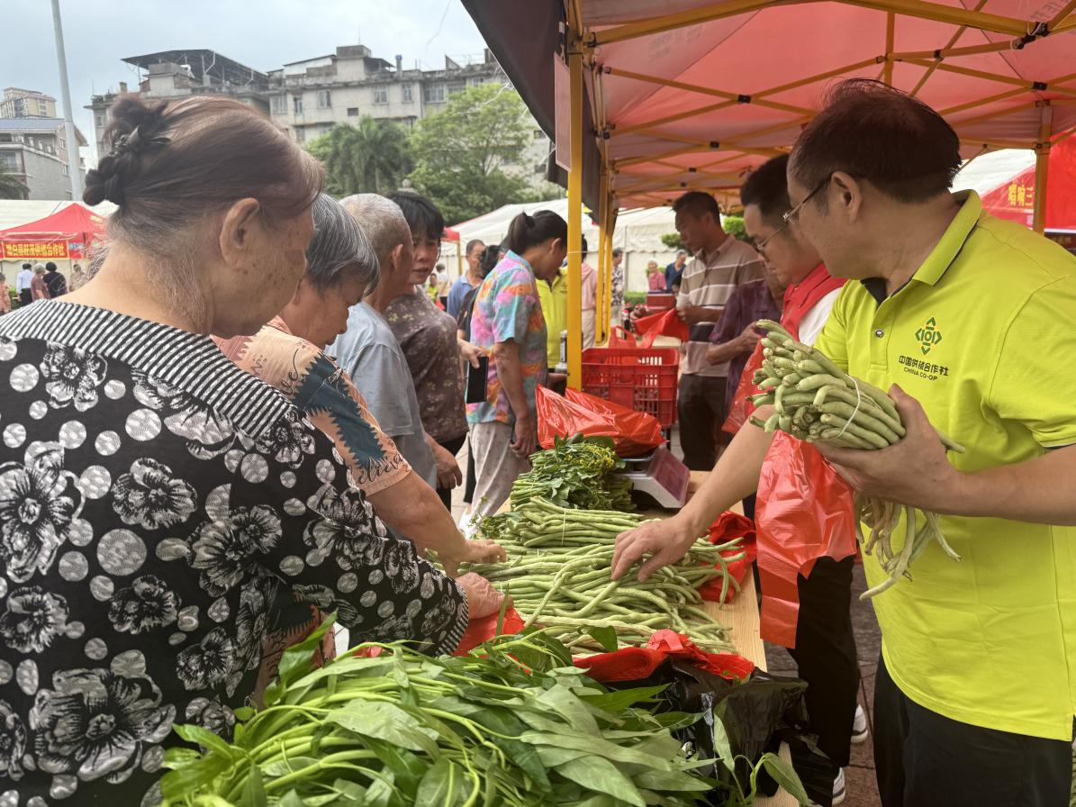 新葡京在线官网