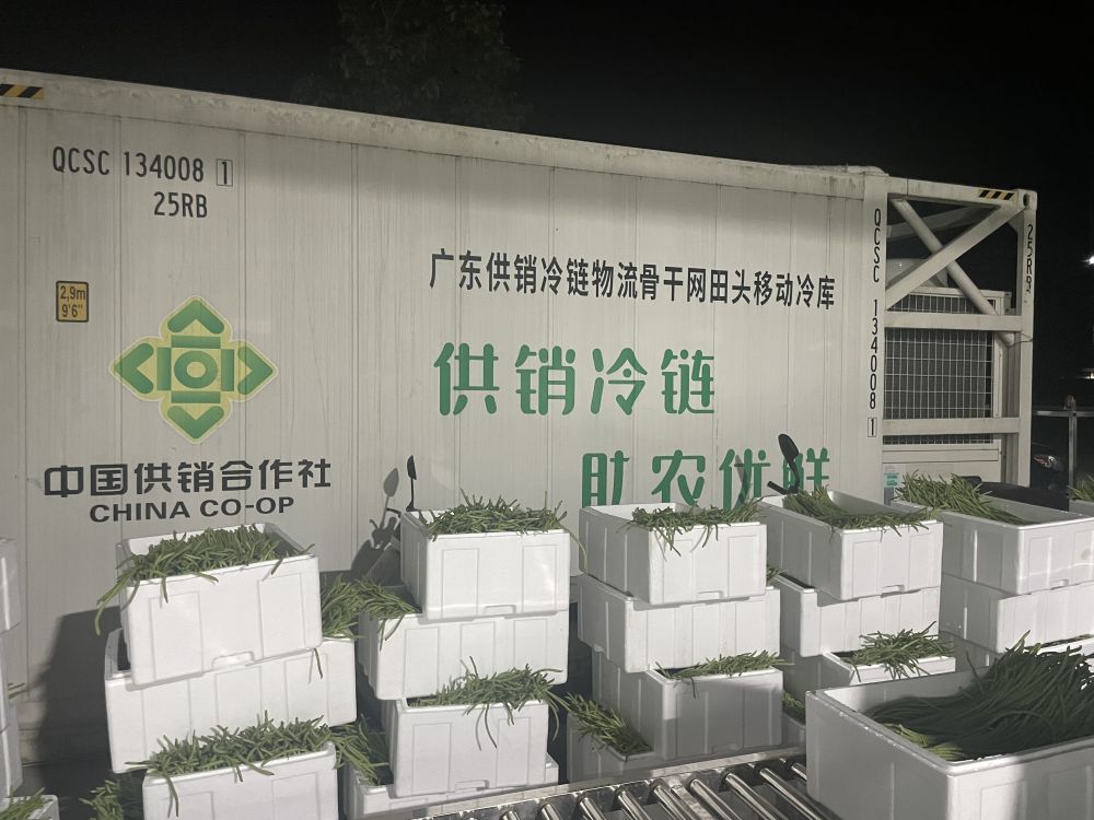 新葡京在线官网