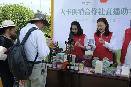 新葡京在线官网