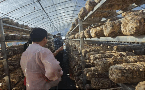 新葡京在线官网