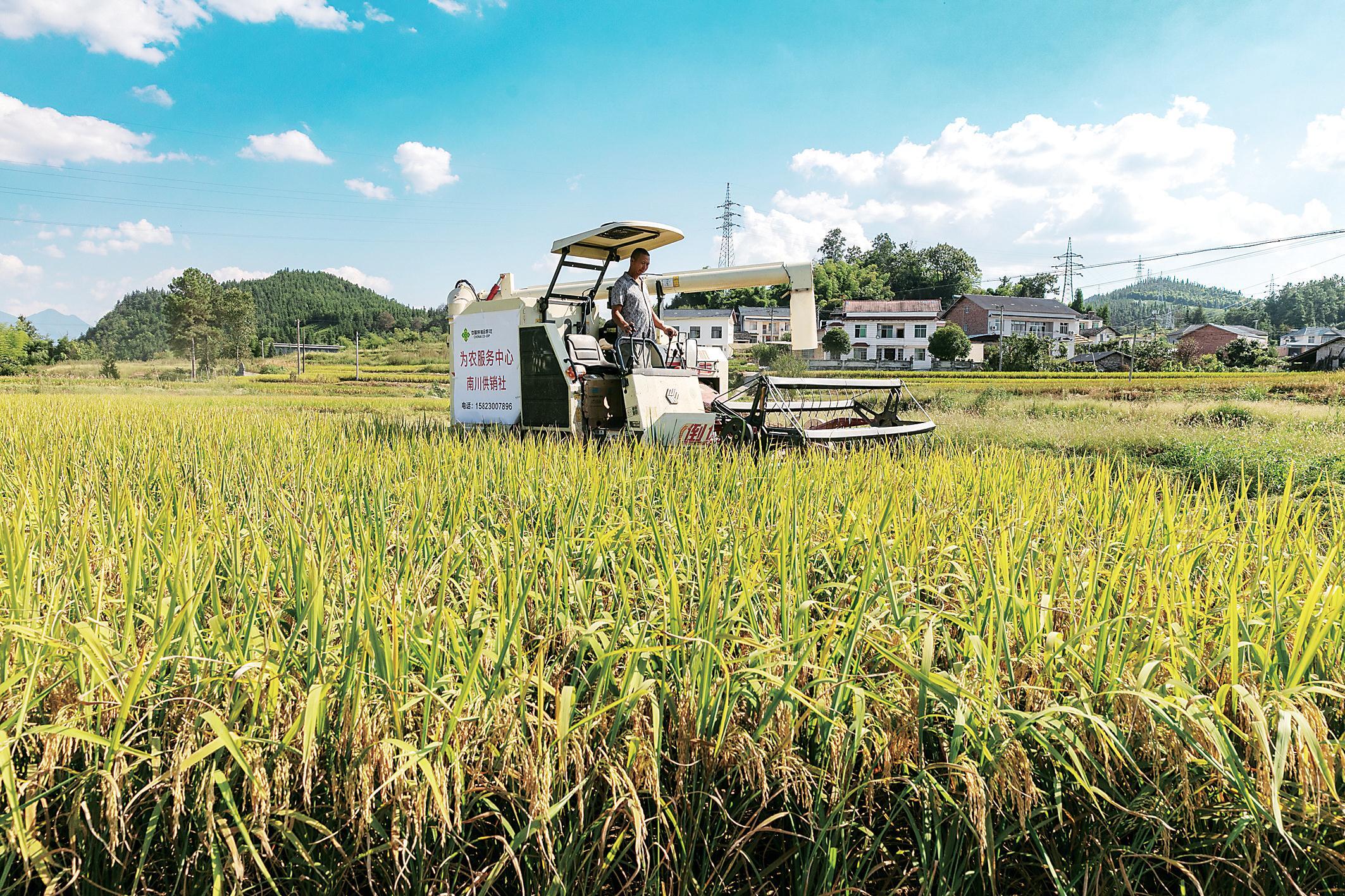 新葡京在线官网