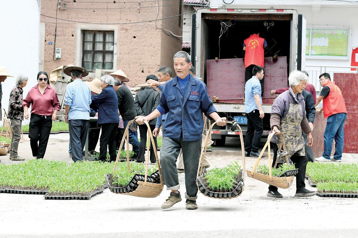 fc09e13be46f9e028fd28d24489d53aa_17631103431721299_1238x825.png 新葡京在线官网