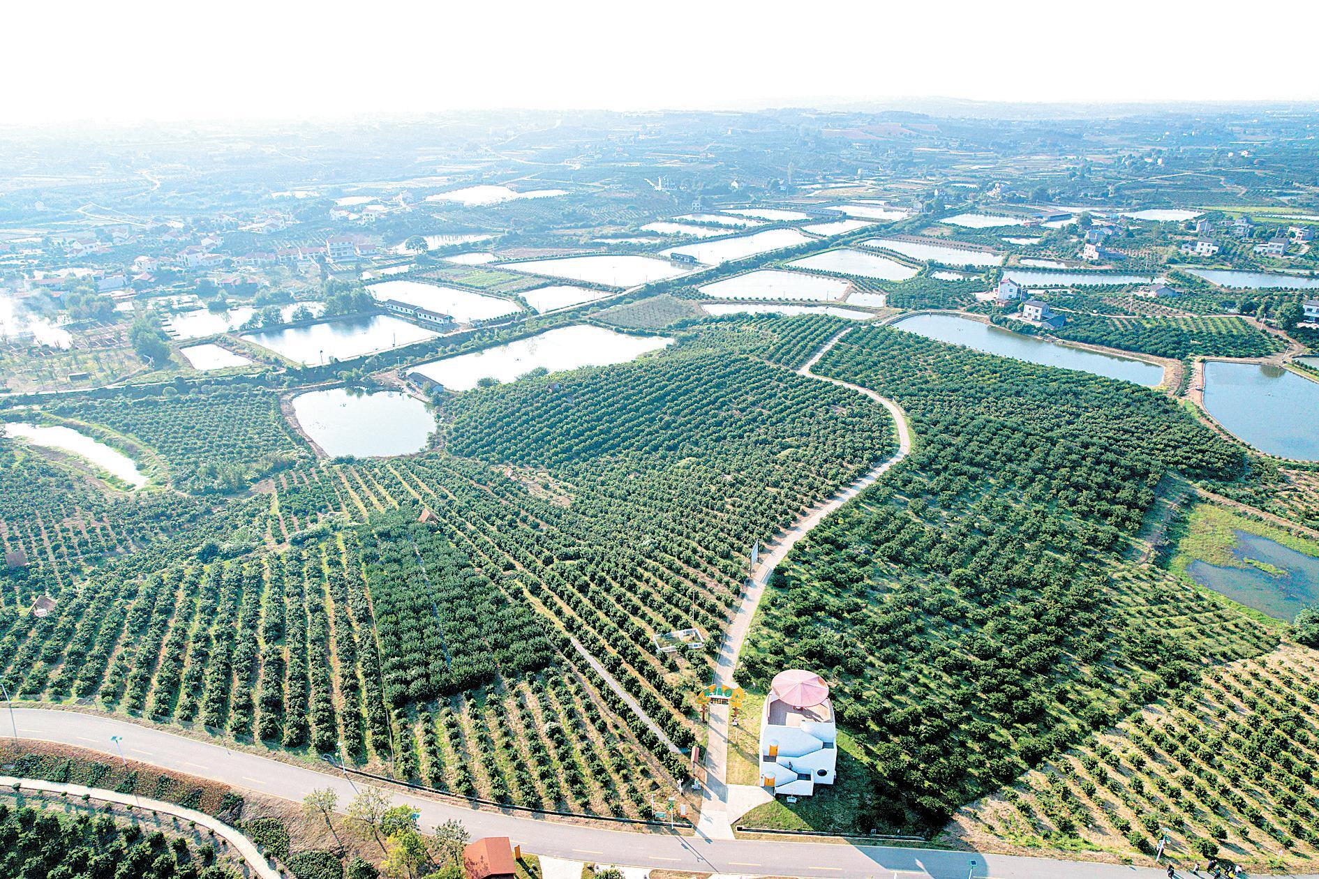 5.png 新葡京在线官网