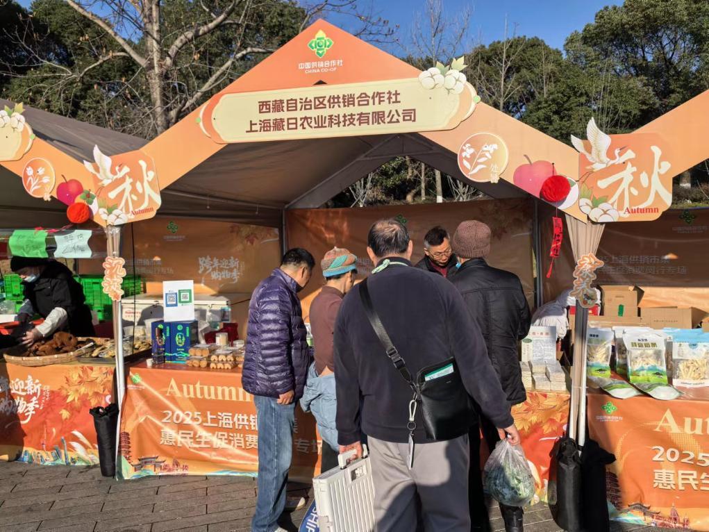 新葡京在线官网