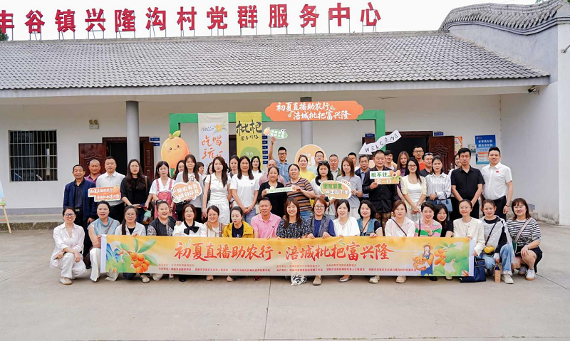 新葡京在线官网